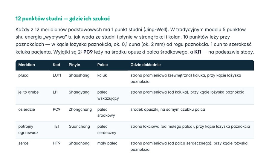 Strona z ebooka Punkt, bańka, ciepło: 12 punktów studni – gdzie ich szukać