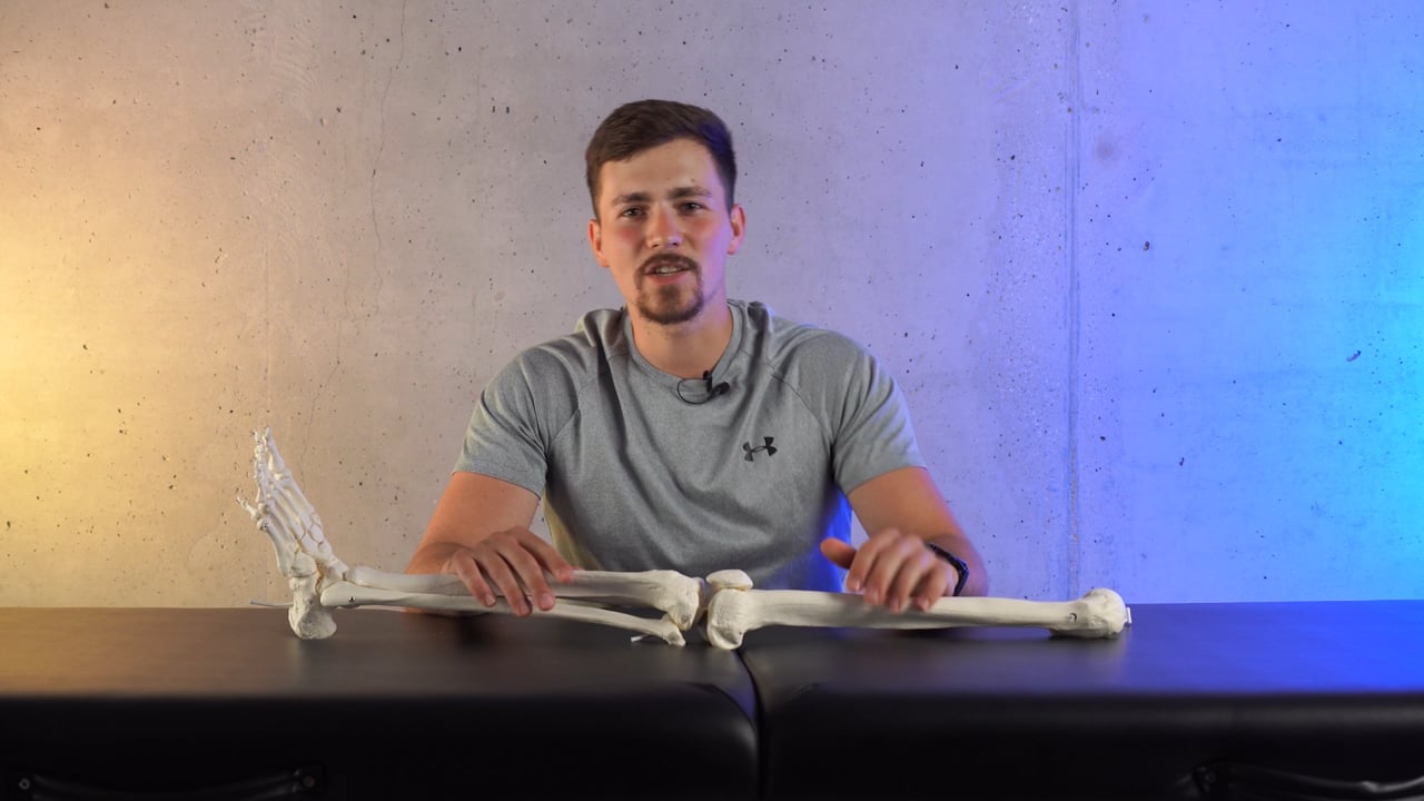 Praktyka podczas kursu Kolano — trening i terapia — kadr 3